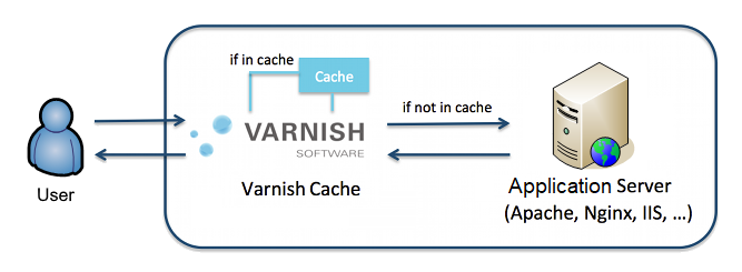 Speed up website with Varnish Cache